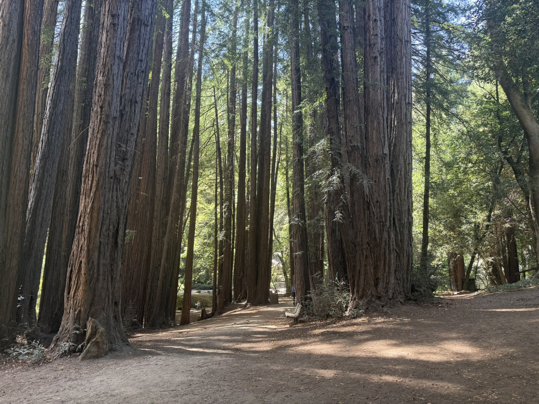 Mill Valley