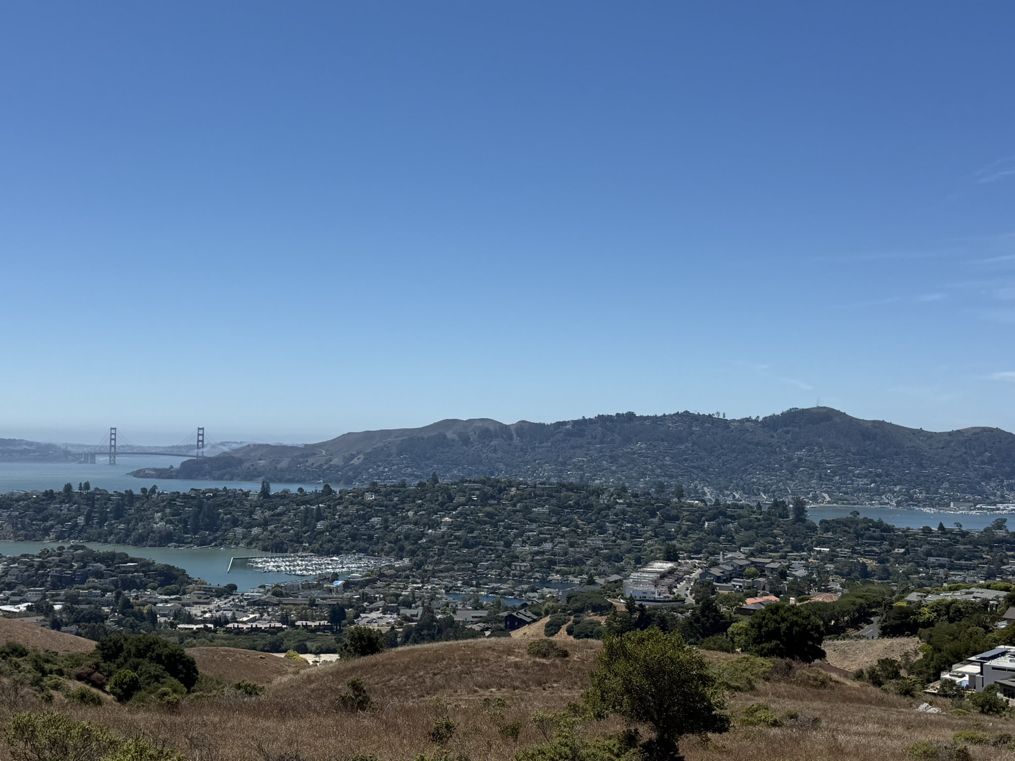 Tiburon & Belvedere